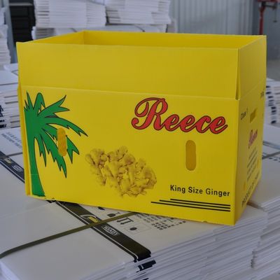 Kemasan Plastik Bergelombang Sayuran Coroplast Kotak Bergelombang Dapat Digunakan Kembali