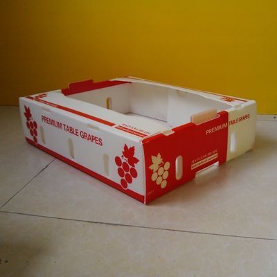 Kotak Bergelombang Polypropylene 5mm Untuk Kemasan Buah Tahan Air