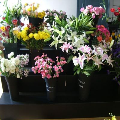Rectangle Coroplast Flower Shop Display Stand 3 Tiers Tahan Cuaca