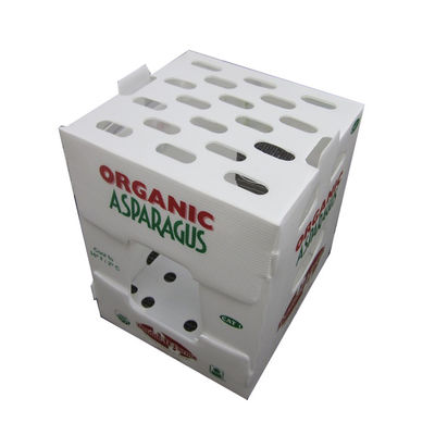 Kotak Penyimpanan Plastik Bergelombang PP Coropast Packing Box Rigid Lightweight