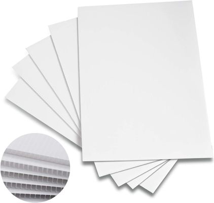 Periklanan Polypropylene Coroplast Sheet Papan Bergalur Kaku Daur Ulang