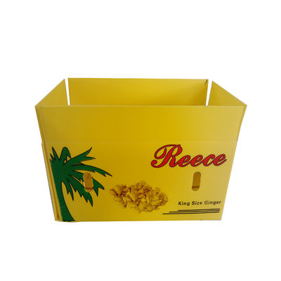 PP Corrugated Plastic Box Coroplast Fruit Packaging Box Disesuaikan Daur Ulang Lipat