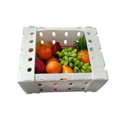 Corrugated Plastic Vegetable Box Storage Packing Rigid Lightweight