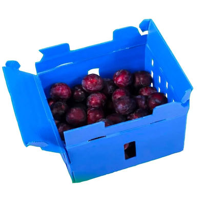 Corrugated Plastic Vegetable Box Storage Packing Rigid Lightweight