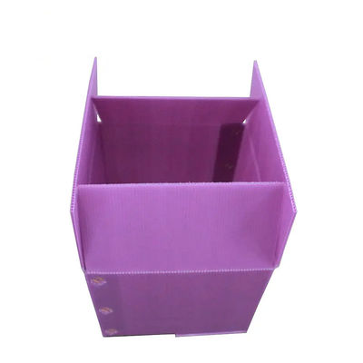 Corrugated Plastic Box Storage Box Vegetable Packing Box Rigid Lightweight