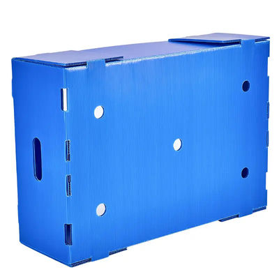 Corrugated Plastic Box Polypropylene Fruit Packing Box Storage Transportation