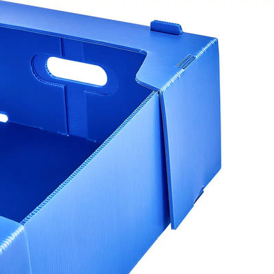 Corrugated Plastic Box Polypropylene Fruit Packing Box Storage Transportation