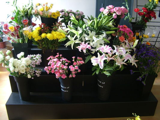 PP Polypropylene Flower Display Stand Black Corflute Tebal 8mm