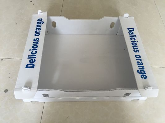 Kotak Bergelombang Polypropylene 5mm Untuk Kemasan Buah Tahan Air