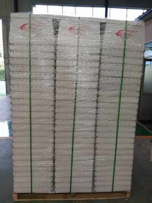 Tas Surat Plastik Bergelombang Polypropylene Putih Dengan Tali Baja