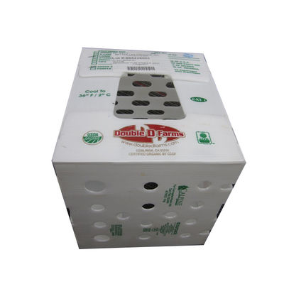 Kotak Coroplast Kustom 3mm 5mm Tote Surat Plastik Bergelombang Ramah Lingkungan