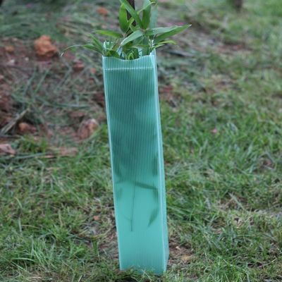 Corflute Corrugated Plastic Tree Wrap 2mm Pelindung Pohon Plastik Keras