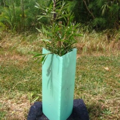 Corflute Corrugated Plastic Tree Wrap 2mm Pelindung Pohon Plastik Keras