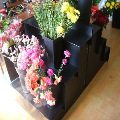 Tampilan Bunga Segar Corflute Hitam 5mm Berdiri Untuk Taman Rumah