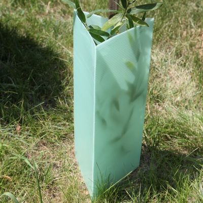 Pelindung Pohon Plastik Bergelombang Segitiga 2mm Pelindung Tanaman Corflute
