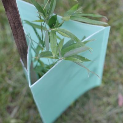 2mm Corflute Corrugated Tree Guards Pelindung Batang Pohon Plastik Segitiga