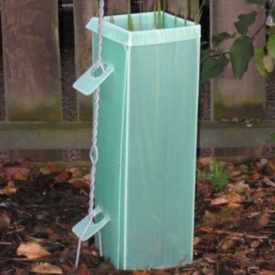 Pelindung Pohon Plastik Polypropylene Corflute Vine Pelindung Anti Benturan