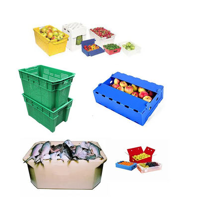 Kotak Kemasan Buah Polypropylene Kotak Kemasan Green Coroplast Peach