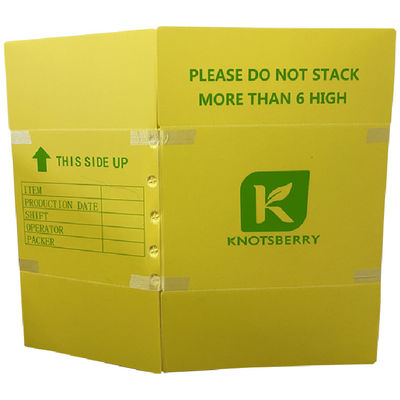 Kotak Kemasan Plastik Bergelombang yang Dirancang untuk Publik dan Komersial yang Memberikan Kinerja dalam Sistem Pengelolaan Limbah