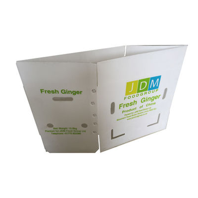 Twinwall PP Fluted Polypropylene Coroplast Box Disesuaikan