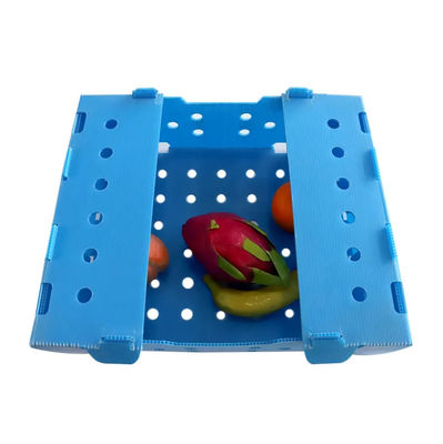 PP Corrugated Plastic Box Corflute Fruit Packaging Box Disesuaikan Daur Ulang