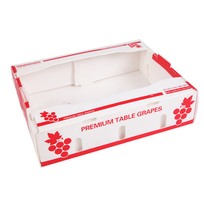 PP Corrugated Plastic Box Corflute Fruit Packaging Box Disesuaikan Daur Ulang
