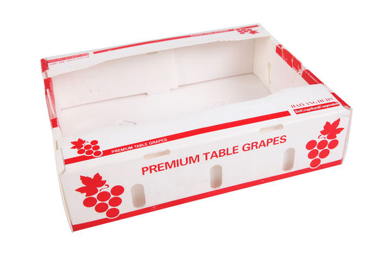 PP Corrugated Plastic Box Coroplast Fruit Packaging Box Disesuaikan Daur Ulang Lipat
