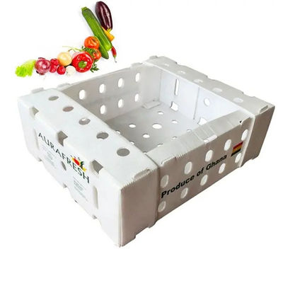 PP Corrugated Plastic Box Coroplast Fruit Packaging Box Disesuaikan Daur Ulang Lipat