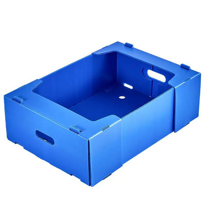 PP Corrugated Plastic Box Coroplast Fruit Packaging Box Disesuaikan Daur Ulang Lipat