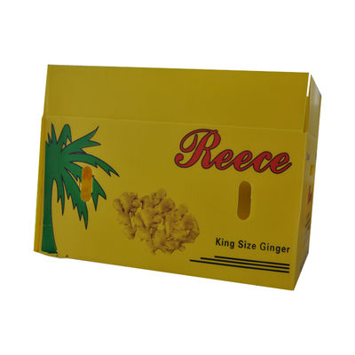 PP Corrugated Plastic Box Coroplast Fruit Packaging Box Disesuaikan Daur Ulang Lipat