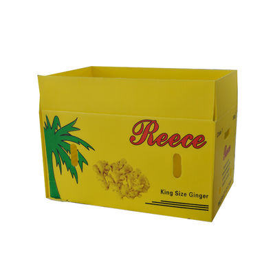 PP Corrugated Plastic Box Coroplast Fruit Packaging Box Disesuaikan Daur Ulang Lipat