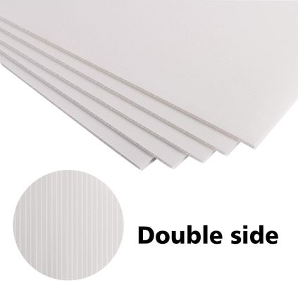 Lepaskan Potensi PP Coroplast Sheet dalam Kemasan dan Iklan Anda