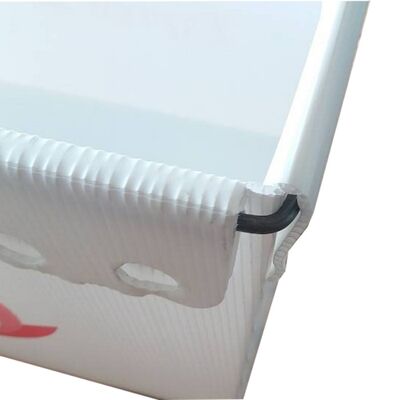 Hollow Board Mail Tote: Lightweight, Durable and Reusable Returnable Logistics Container for Efficient Supply Chain Use