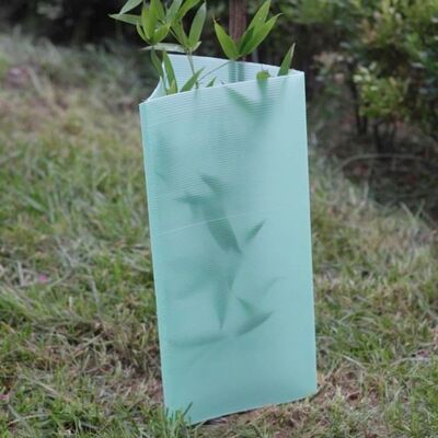 PP Tree Guard ringan, tahan lama, tahan air, dan mudah dipasang. Melindungi pohon muda dari angin, hewan, dan kerusakan, dengan ukuran, warna, ketebalan, dan desain yang dapat disesuaikan.