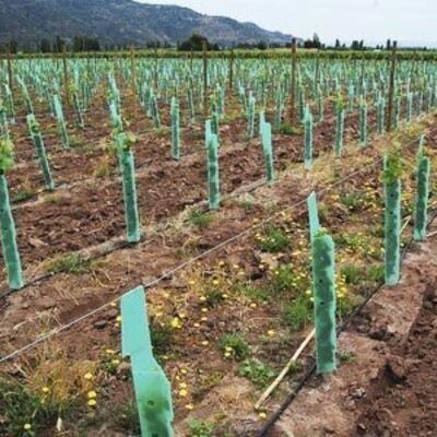 PP Tree Guard ringan, tahan lama, tahan air, dan mudah dipasang. Melindungi pohon muda dari angin, hewan, dan kerusakan, dengan ukuran, warna, ketebalan, dan desain yang dapat disesuaikan.